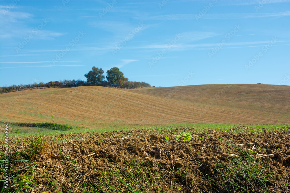 Agricultural fields near the Rieux-Volvestre, Haute-Garonne, France