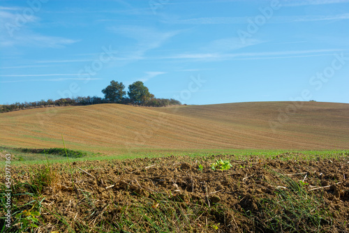 Obraz na płótnie Agricultural fields near the Rieux-Volvestre, Haute-Garonne, France w salonie