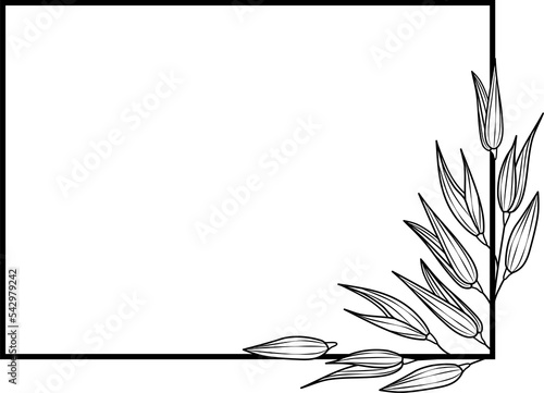 Rectangular frame with oats on a transparent background. Png