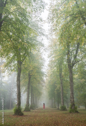 walking in the woods