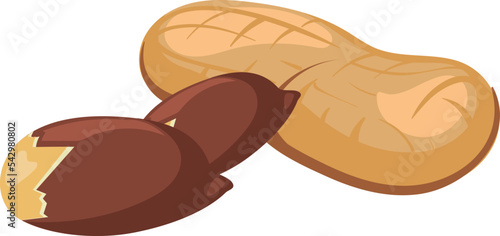 Peanut icon. Cartoon nutshell and peeled nut