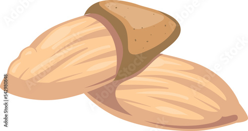 Almond cartoon icon. Healthy diet raw nut