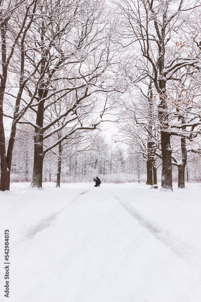 A man on the road in Babolovsky Park. Background forest in winter A man on the road in Babolovsky Park. Background forest in winter