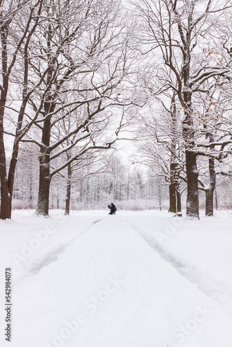 A man on the road in Babolovsky Park. Background forest in winter