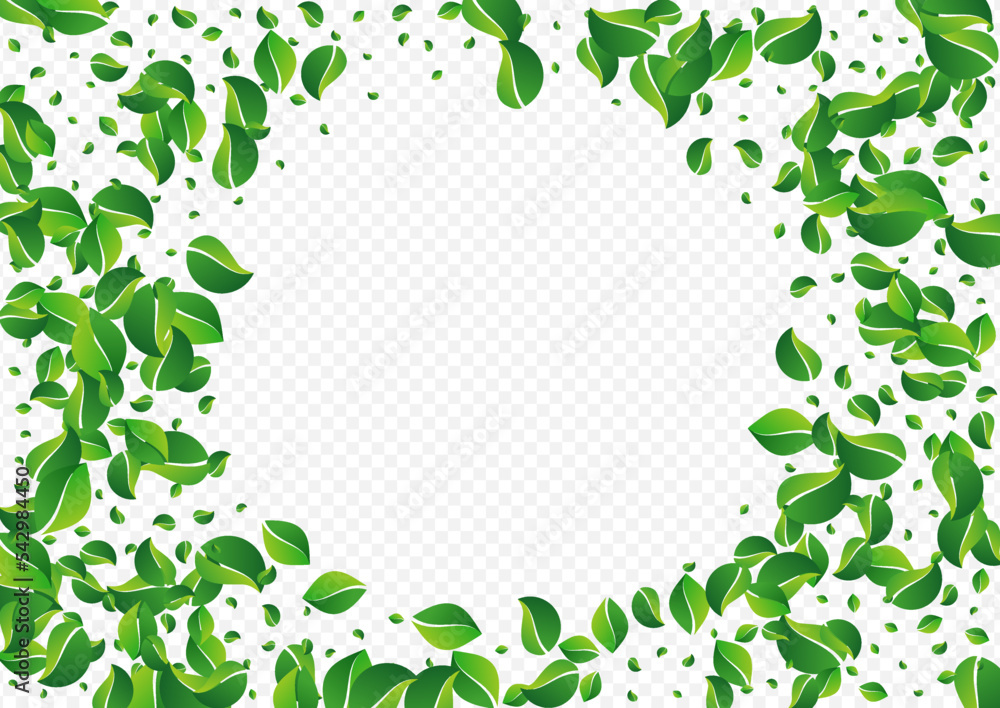 Forest Foliage Flying Vector Transparent