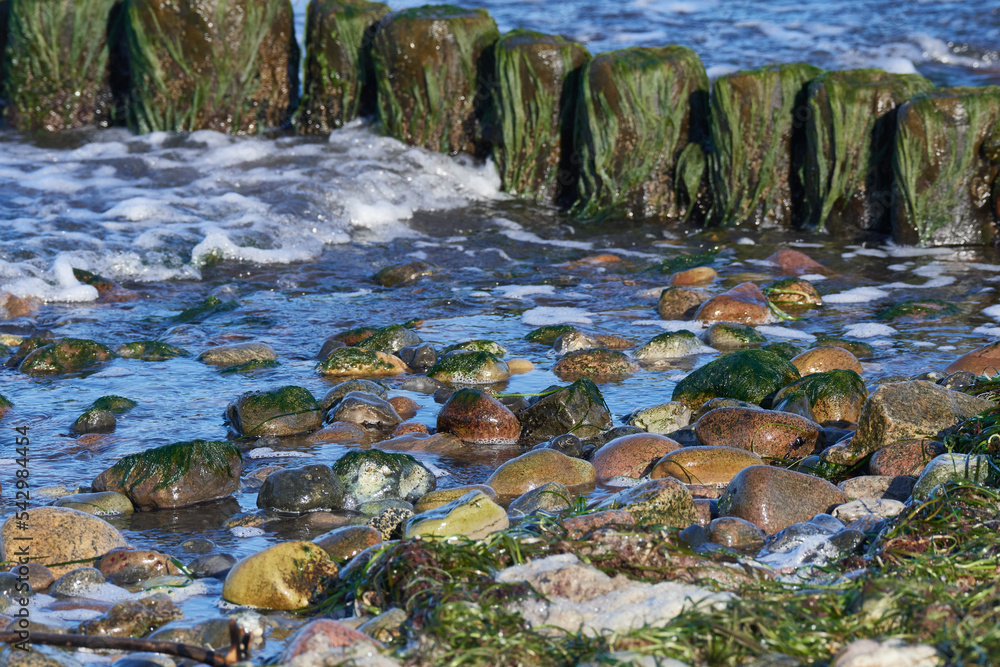 Buhnen an der Ostsee in der Morgensonne