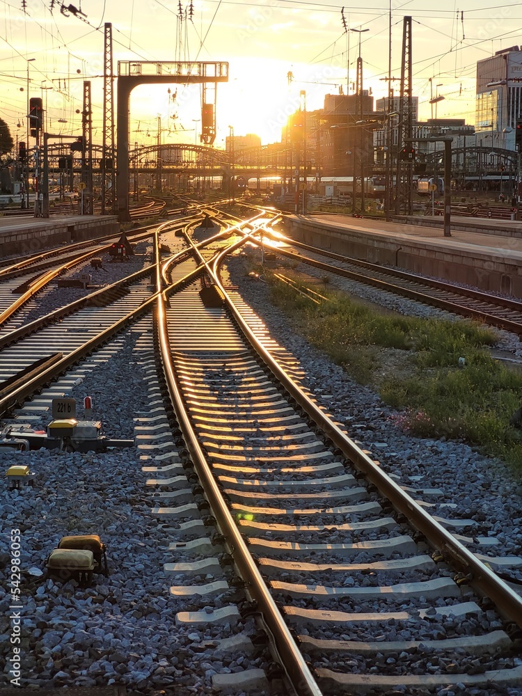 Fototapeta premium Goldschienen