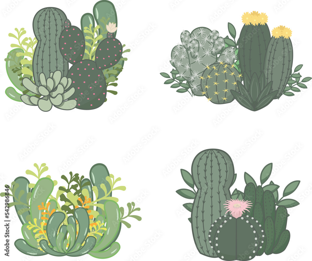 Cactus and Succulent Gardening Collection. It is a simple garden style. Single vector illustration isolated on white background. Cactus and Succulent Gardening Collection. It is a simple garden style. Single vector illustration isolated on white background.