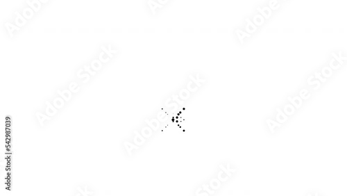 Black and white halftone transition with a skull appearing.