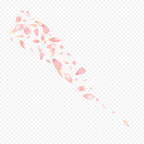 Pink Sakura Vector Transparent Background. Apple