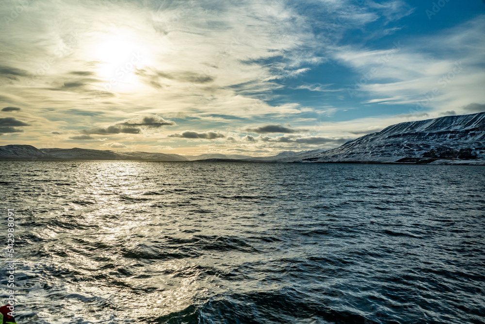 Obraz premium view from the ocean on icelandic snowy mountains