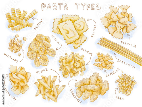 Pasta types watercolour food illustration isolated on white background for kitchen decor, product packaging