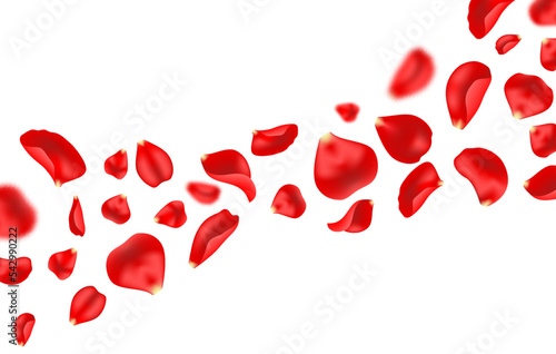 Flying rose petals. Spring soft bloom, 8 march holiday realistic backdrop or wallpaper, red rose flying blossom, romantic love vector background or pattern. Flower petal on wedding backdrop