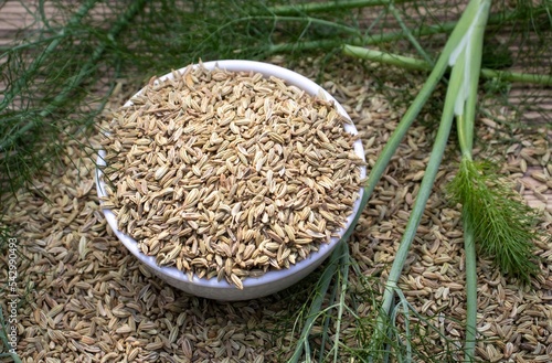 Organic Fennel Seeds in a White Bowl with Fennel Plant Leaves in Horizontal Orientation, Authentic Spices and Condiment