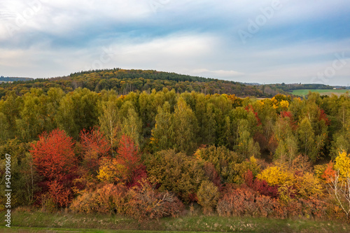 A bird's-eye view of trees in a small forest in the Taunus, Germany, which have turned their autumn colors