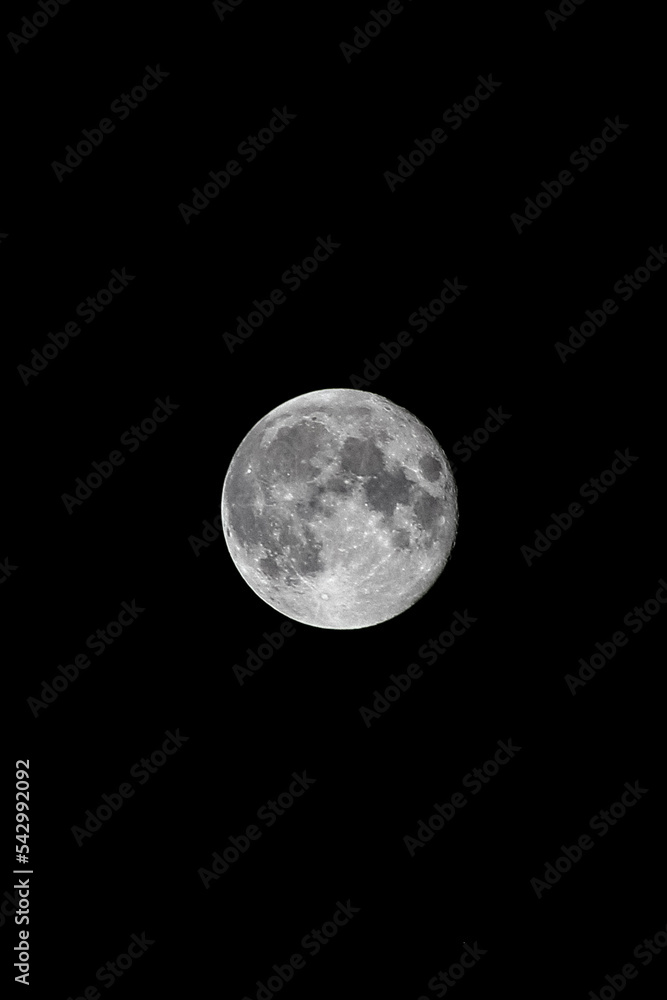 Fototapeta premium full moon