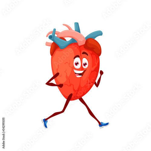 Cartoon running heart character jogging to keeping health. Isolated vector athlete organ doing cardio workout, sports exercises. Cardiology medical personage active lifestyle, heart attack prevention