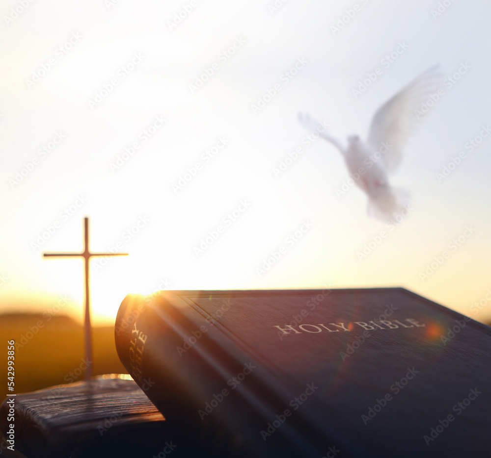 Bright sunlight and white dove and holy bible and cross silhouette of Jesus Christ Stock Photo