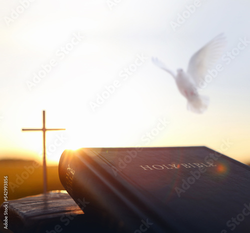 Photography Bright sunlight and white dove and holy bible and cross silhouette of Jesus Chri