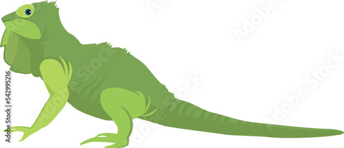 Green lizard. Iguana icon. Funny reptile animal
