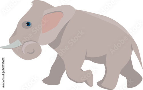 Elephant icon. Cute zoo animal. Wild fauna © ONYXprj