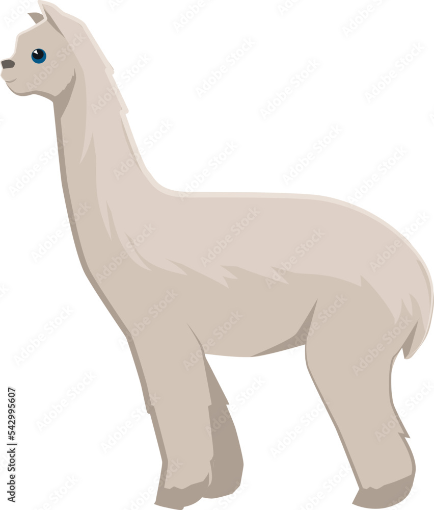 Alpaca icon. Wild llama animal. Zoo fauna Alpaca icon. Wild llama animal. Zoo fauna