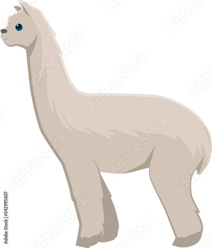 Alpaca icon. Wild llama animal. Zoo fauna