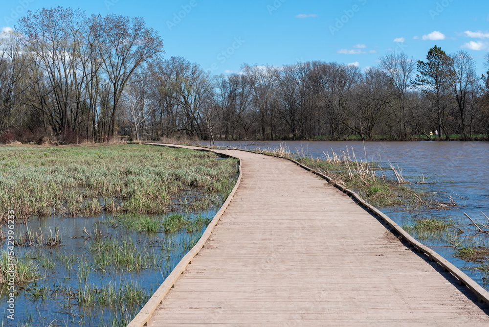 Wooden Walkway Through The River Marsh