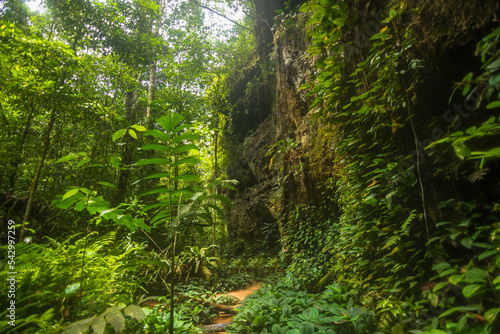Fototapeta Naklejka Na Ścianę i Meble -  Beautiful landscape of Maroaga Cave and the Judea Grotto - Presidente Figueiredo, Amazonas, Brazil