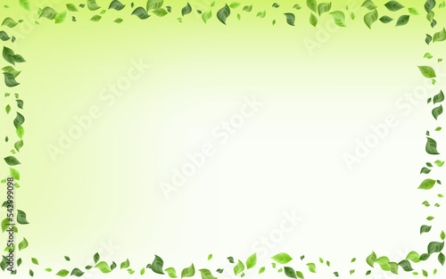 Mint Foliage Ecology Vector Green Background