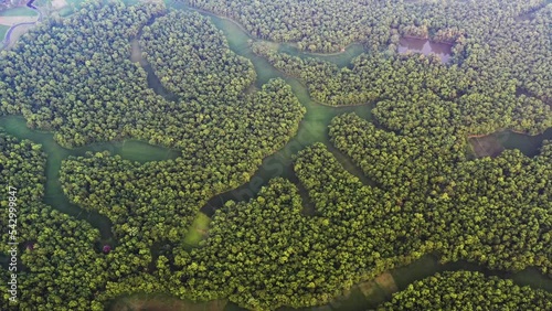 Bhawal National Park. Forest in Gazipur, Bangladesh. photo