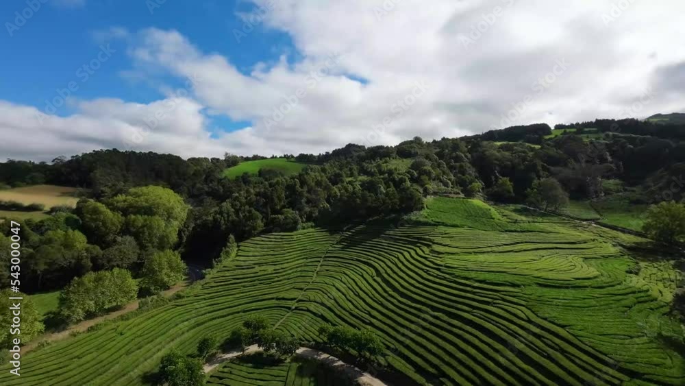 Aerial View Flight, tea plantations, Sao Miguel Island Azores 15 October 2022 Aerial View Flight, tea plantations, Sao Miguel Island Azores 15 October 2022