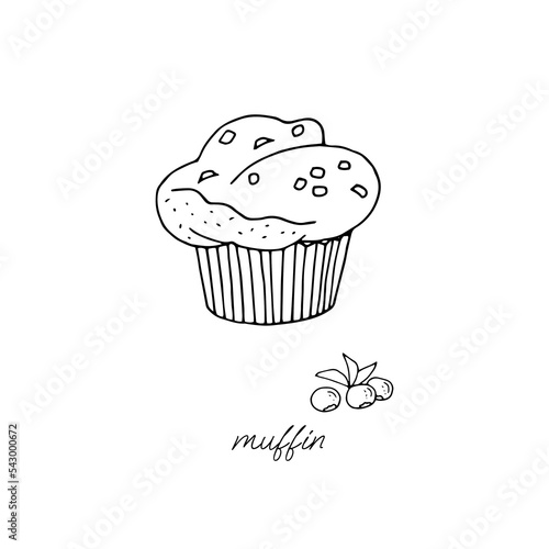Fresh fluffy muffin with chocolate pieces and a sprig of blueberries on a white background black and white
