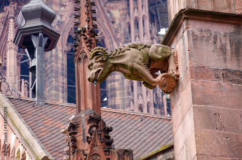 Waterspout, Freiburg Minster, Germany photo