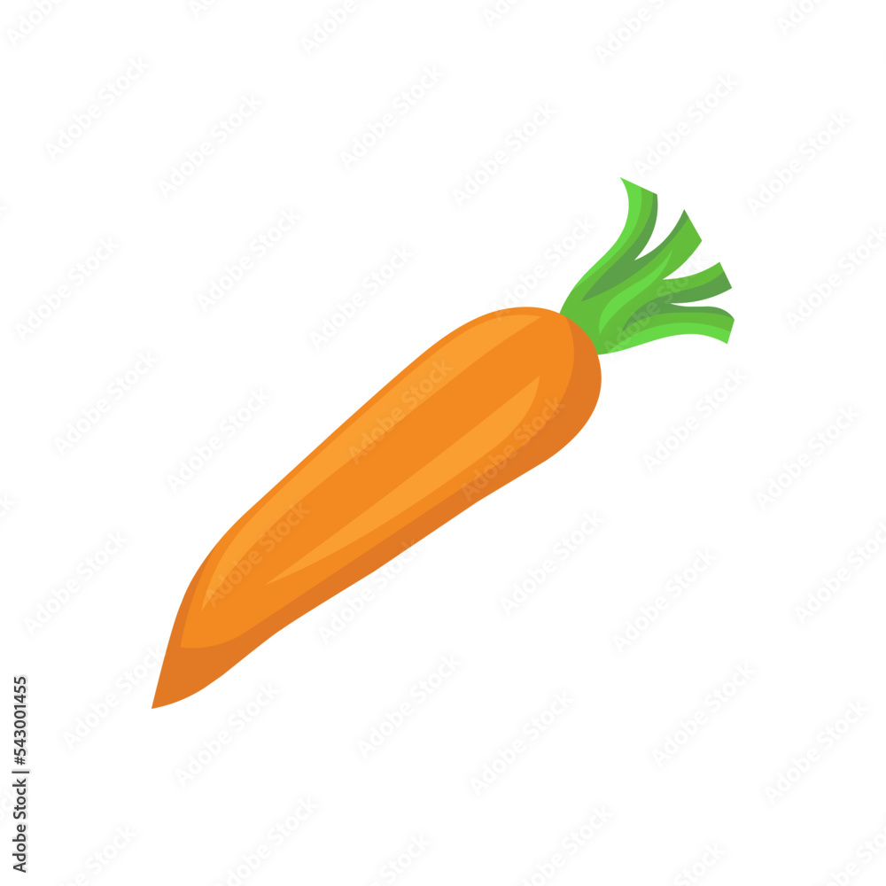 Carrot vector illustration Carrot vector illustration
