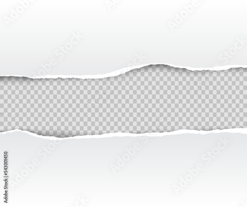 Torn paper on transparent background with space for text. Vector illustration.