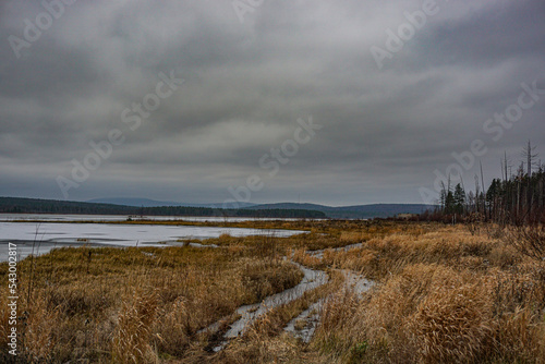 clouds over swamp