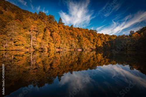 gorgeous lake and reflections in autumn