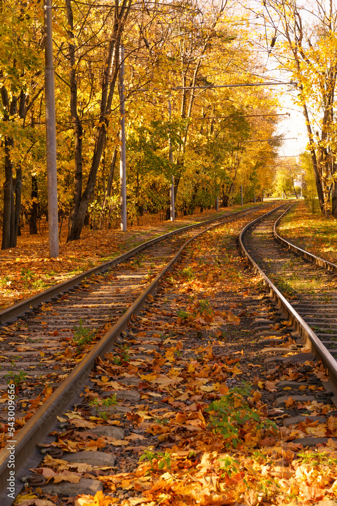Tram tracks in the autumn forest. Electric urban transport in Moscow, Russia.