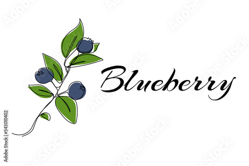Continuous one line drawing of blueberry. Vector illustration on isolated background.