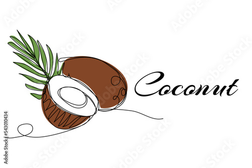 Continuous one line drawing of coconut. Vector illustration on isolated background.