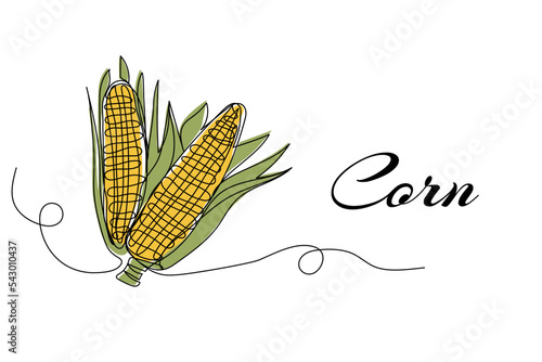 Continuous one line drawing of corn. Vector illustration on isolated background.