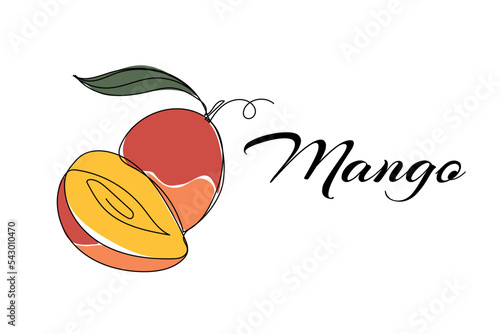 Continuous one line drawing of mango. Vector illustration on isolated background.