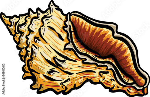 Conch Sea Snail Shell Outline Cartoon Style Logo Design in Vector
