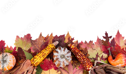 Autumn or fall leaf border with leaves and gourds on transparent background for the Thanksgiving holiday season