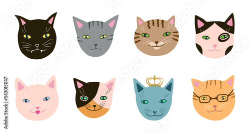 Fototapeta Naklejka Na Ścianę i Meble -  Funny cats muzzles set. Hand drawn cute kittens head clip art. Kitty breeds collection. Vector artistic cartoon simple pets.