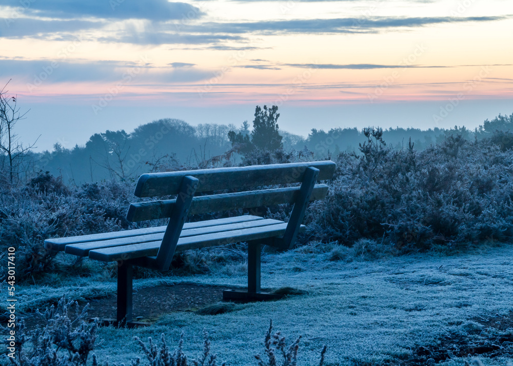 Winter landscape scene of a cold and frosty bench at sunrise in England