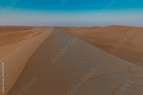 UAE. Desert  landscape