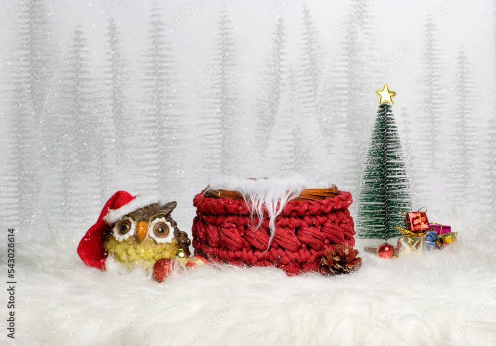 Newborn digital backdrop with christmas owl and handmade crochet red