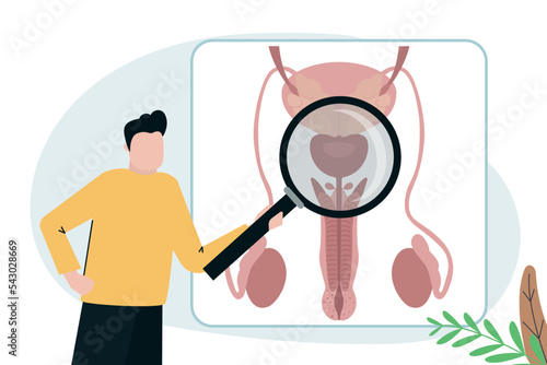 Doctor man hold magnifying glass and checking genital organs. Anatomy of penis. Sex education. Male reproductive system. Аndrology and urology